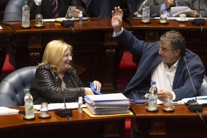 Graciela Bianchi y Sergio Botana, en la Cámara de Senadores. · Foto: Ernesto Ryan