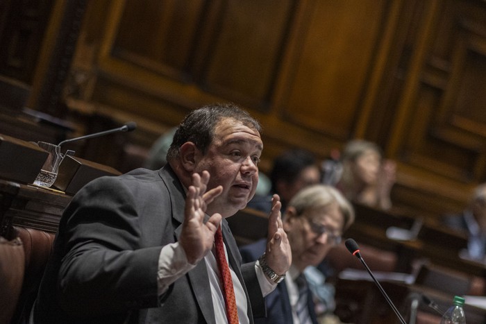 Walter Cervini, en la Cámara de Diputados. (Archivo, 2025) · Foto: Ernesto Ryan