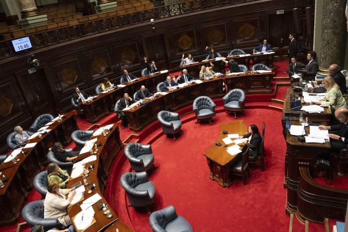 Sesión del Senado. · Foto: Mara Quintero