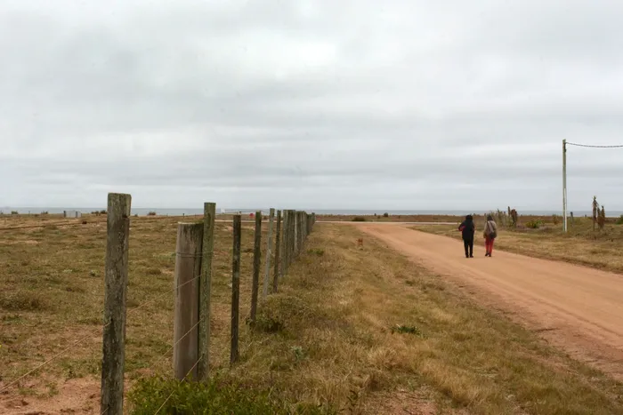 Terrenos de Punta Negra. (Archivo, julio de 2022) · Foto: Virginia Martínez  Díaz