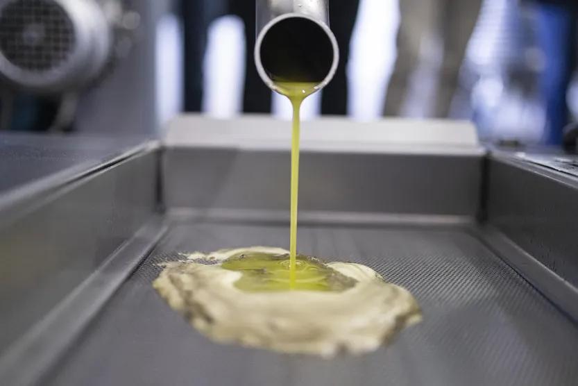 20260101 AGROPECUARIA COSECHAS (olivos) f3