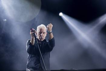 Buitres (archivo, abril de 2024). · Foto: Rodrigo Viera Amaral