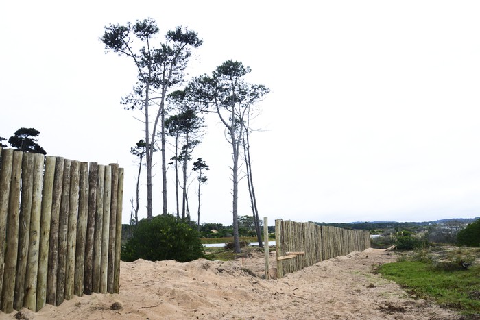 Empalizada de Grendene junto al arroyo Potrero en Ocean Park (arachivo, abril de 2024). · Foto: Natalia Ayala