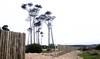 ocean park RS209962_20240415 NA009