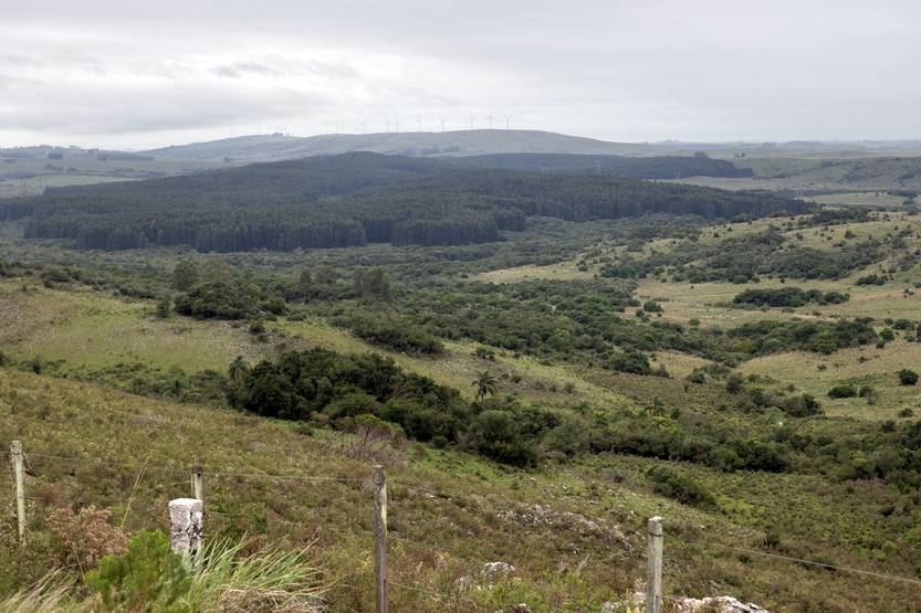 hectárea RS210196_20240415AM_015