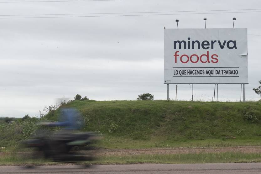 20250212 minerva