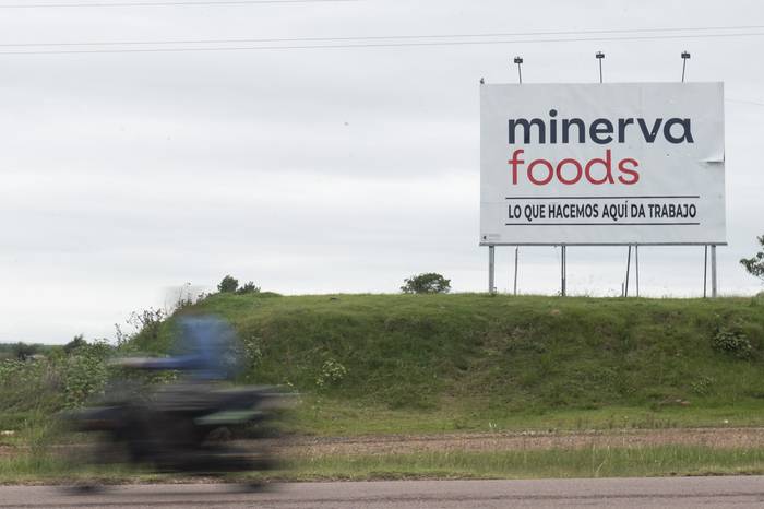 Minerva Foods en Cerro Largo (archivo, abril de 2024). · Foto: Alessandro Maradei