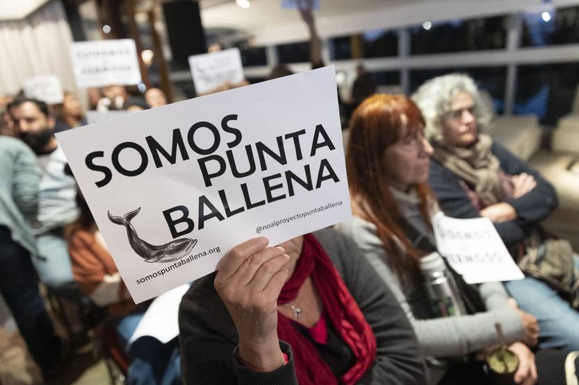 20250207 punta ballena