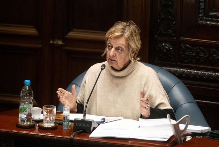 Liliam Kechichian en la Cámara de Senadores. · Foto: Mara Quintero