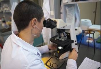 Instituto de Investigaciones Biológicas Clemente Estable (archivo, mayo de 2024). · Foto: Alessandro Maradei