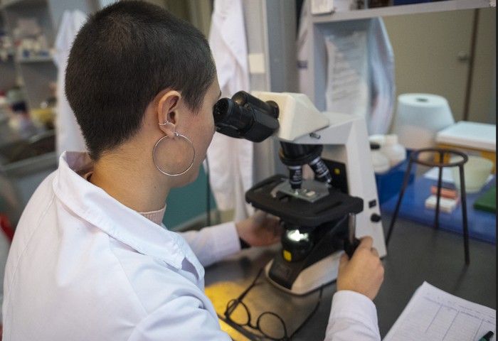 Instituto de Investigaciones Biológicas Clemente Estable. (archivo, mayo de 2024) · Foto: Alessandro Maradei