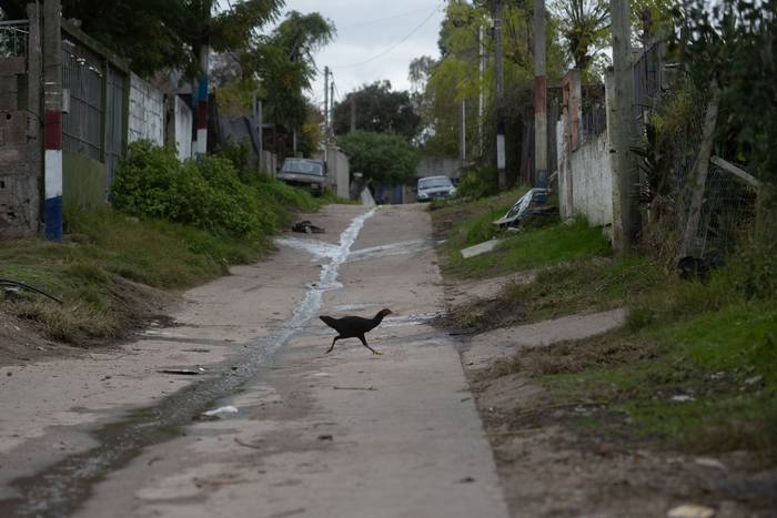 Barrio Maracaná, el 31 de mayo, en Montevideo. · Foto: Mara Quintero