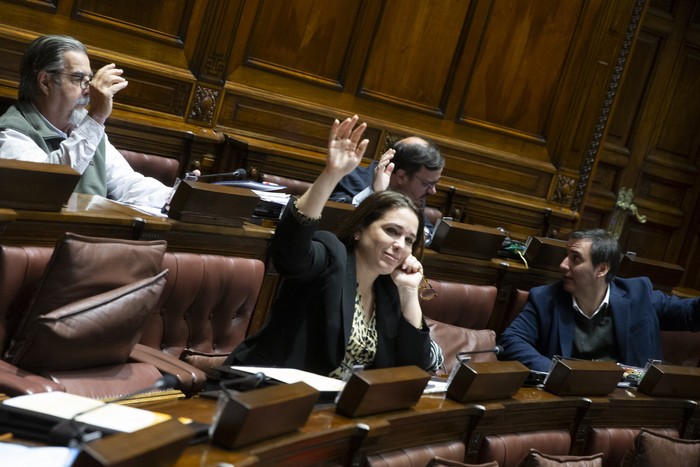 María Eugenia Roselló, durante una votación en la Cámara de Representantes (archivo, junio de 2024). · Foto: Ernesto Ryan