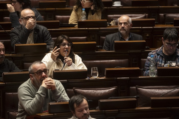 Zulimar Ferreira durante la sesión de la Cámara de Diputados. · Foto: Mara Quintero