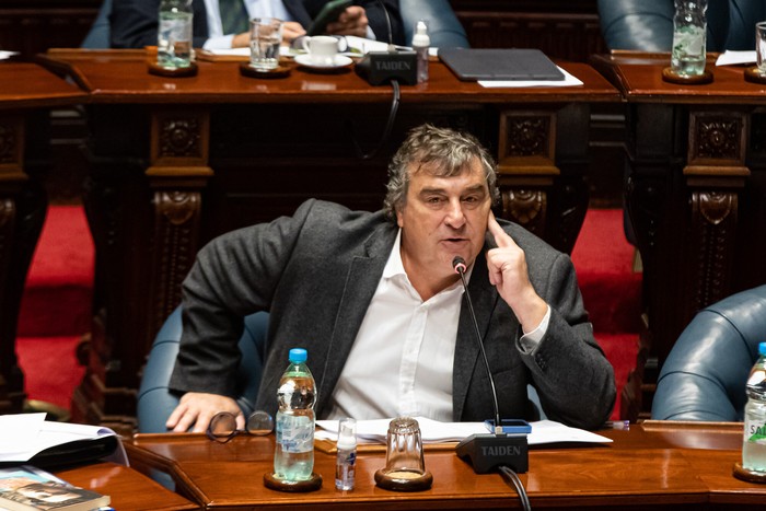 Sergio Botana, durante una sesión de la Cámara de Senadores (archivo, junio de 2024). · Foto: Rodrigo Viera Amaral