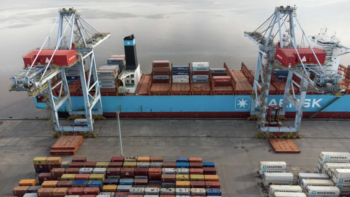 Terminal Cuenca del Plata, en el puerto de Montevideo (archivo, junio de 2024). · Foto: Gianni Schiaffarino