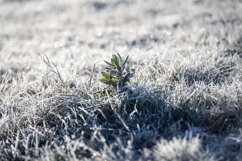 20240715 fotorrep invierno 5