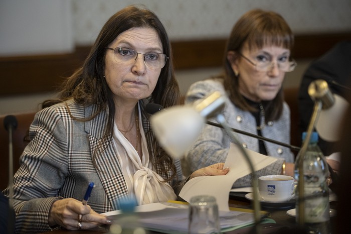 La ministra Karina Rando en la  Comisión de Salud Pública del Senado. · Foto: Mara Quintero