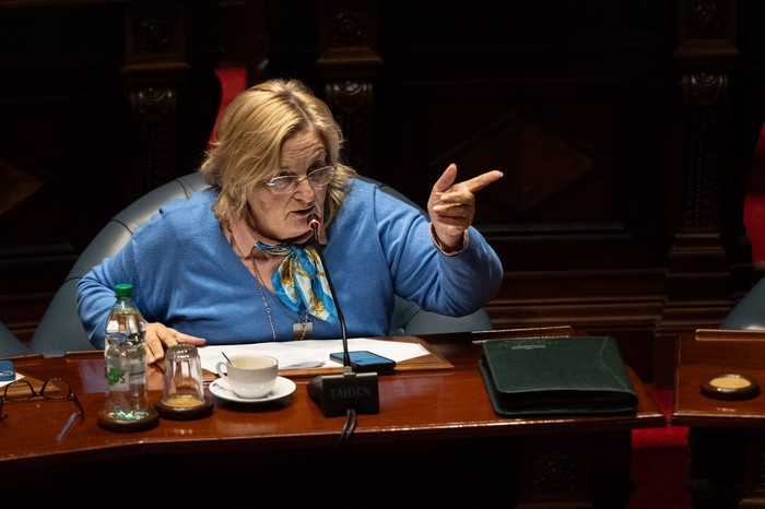 Graciela Bianchi, en la Cámara de Senadores (archivo, julio de 2024). · Foto: Mara Quintero