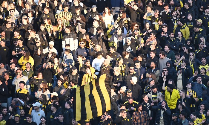 Foto principal del artículo 'Peñarol presentó a Jaime Báez, que celebró llegar “al equipo más grande del país”' · Foto: Alessandro Maradei