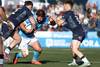 rugby RS223586_20240727MQ_0419