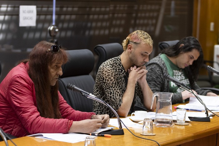 Magela Roero, Damián Logiuratto y Naomi Guerra, en la Comisión de Legislación del Trabajo de la Cámara de Representantes. · Foto: Ernesto Ryan