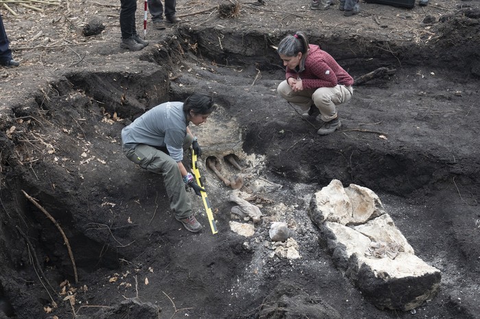 Equipo de antropólogos y técnicos en el Batallón 14, junto a los restos encontrados en el predio, el 1 de agosto. · Foto: Mara Quintero