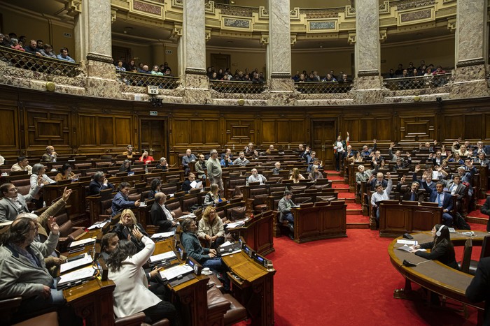 Cámara de Diputados, el 6 de agosto. · Foto: Rodrigo Viera Amaral