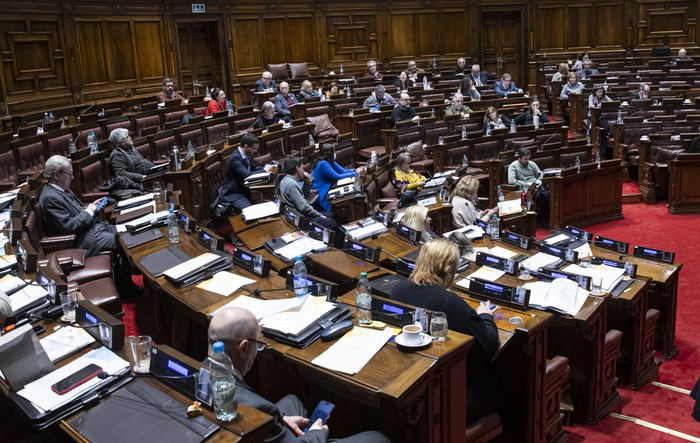 Cámara de Diputados, el 7 de agosto. · Foto: Rodrigo Viera Amaral