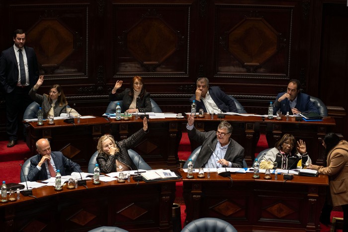 Senado, el 14 de agosto. · Foto: Mara Quintero