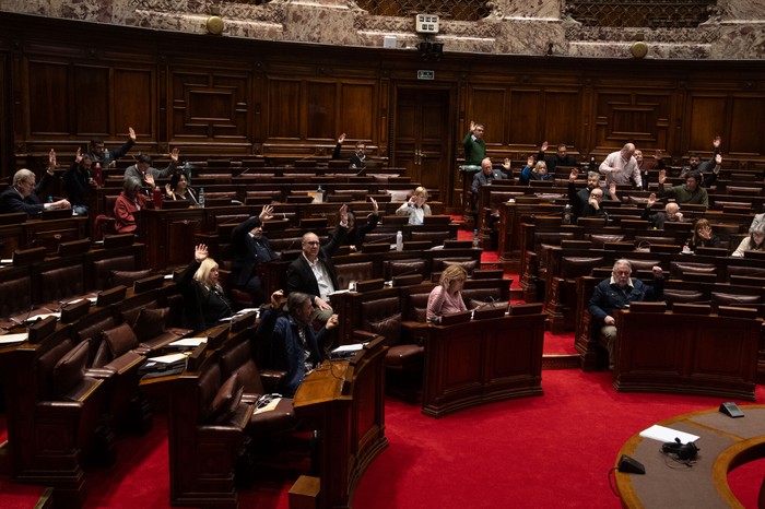 Cámara de Diputados, el 13 de agosto, durante la votación del proyecto de ley de trabajo sexual. · Foto: Mara Quintero