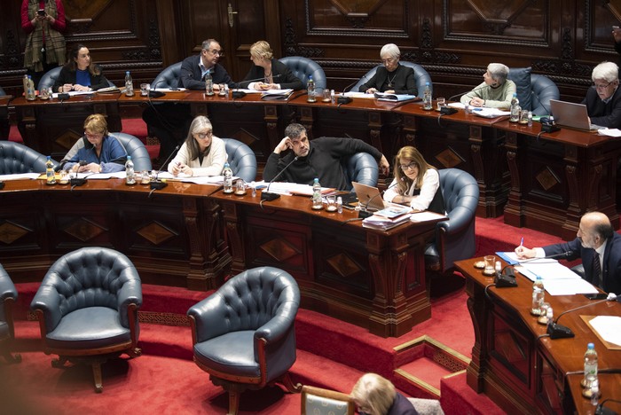 Senadores del Frente Amplio (archivo, agosto de 2024). · Foto: Gianni Schiaffarino