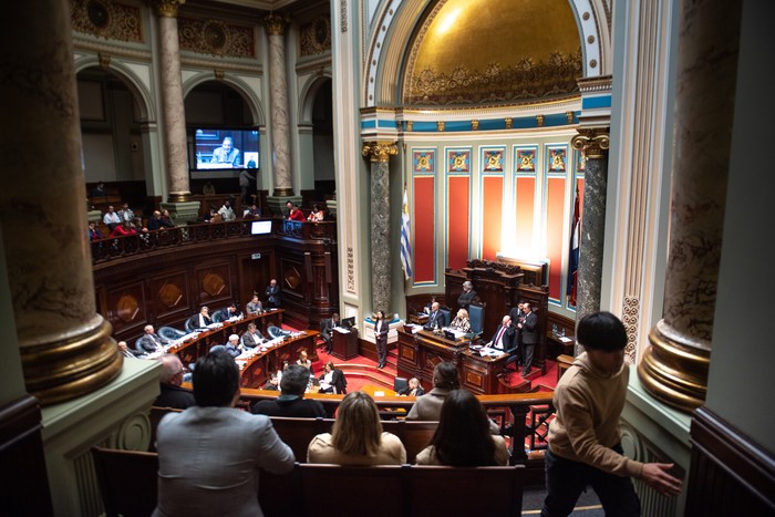 Barra del Senado durante la Interpelación a las autoridades del MIDES e INAU, el 15 de agosto. · Foto: Gianni Schiaffarino