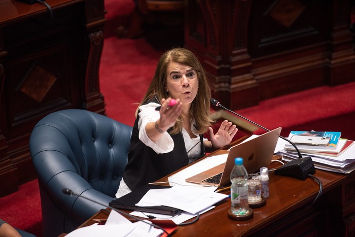 Silvia Nane, en la Cámara de Senadores (archivo, agosto de 2024). · Foto: Gianni Schiaffarino