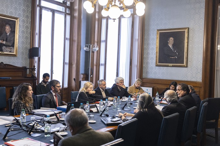 Comisión de Constitución del Senado, el 20 de agosto. · Foto: Ernesto Ryan