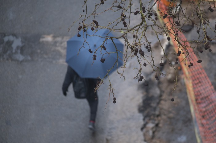 Foto principal del artículo 'Inumet mantene alerta amarilla por “persistencia de tormentas y lluvias” para el norte del país' · Foto: Alessandro Maradei