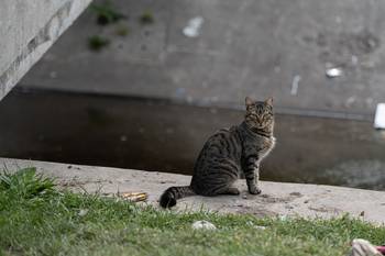 Foto: Mara Quintero.