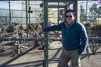 Julio Medina. · Foto: Ignacio Dotti