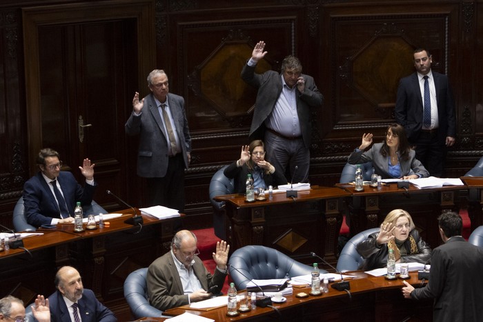 Cámara de Senadores. · Foto: Ernesto Ryan