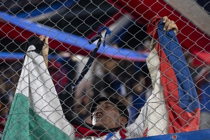 Hincha de Nacional en el estadio Gran Parque Central (archivo, setiembre de 2024). · Foto: Rodrigo Viera Amaral