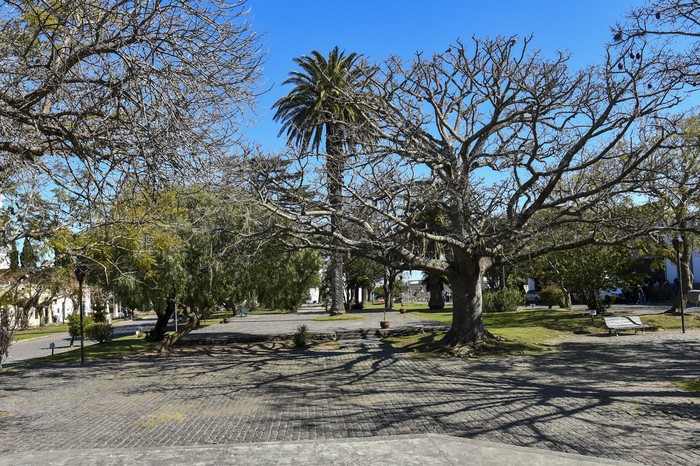 Barrio histórico de Colonia del Sacramento. (archivo, agosto de 2024) · Foto: Ignacio Dotti