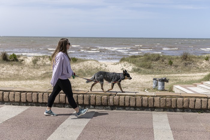 Rambla de Montevideo (archivo, octubre de 2024). · Foto: Ernesto Ryan