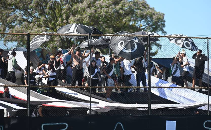 danubio RS238239_420241016AM_