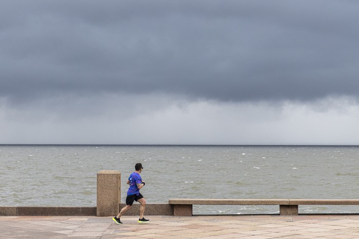 Rambla de Montevideo (archivo, octubre de 2024). · Foto: Ernesto Ryan