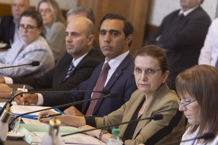 Karina Rando y José Luis Satdjian, en la Comisión de Salud del Senado. · Foto: Ernesto Ryan