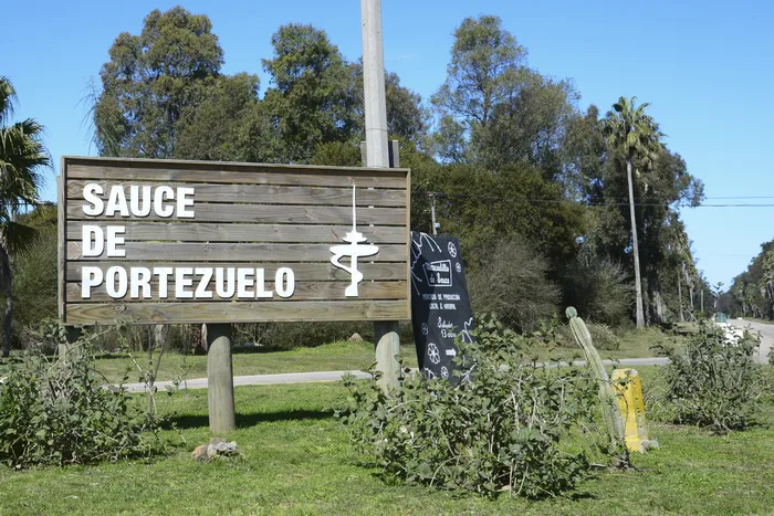 Sauce de Portezuelo, (archivo, agosto de 2024) · Foto: Natalia Ayala