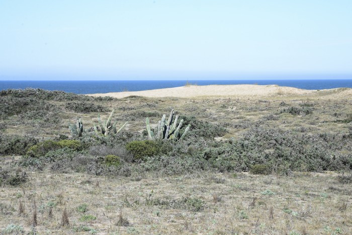 Archivo, 2025 · Foto: Natalia Ayala