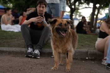 Archivo, 2024 · Foto: Mara Quintero