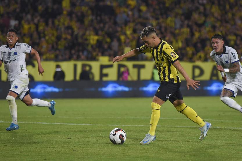 20241209 dep leo fernandez