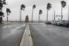 20250210 tormenta